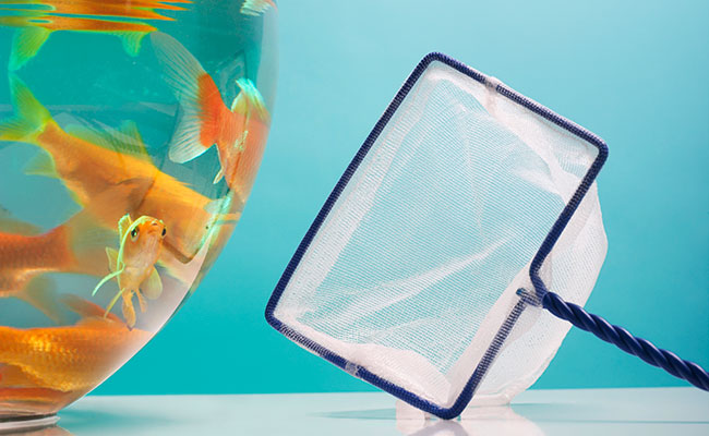 Aquarium Equipment at Newlands