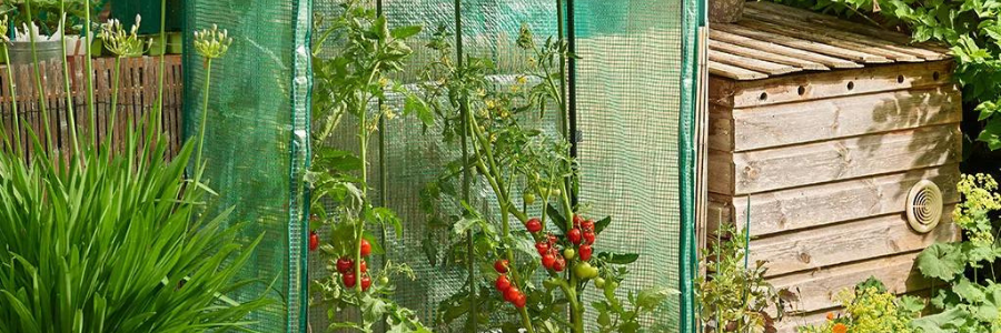 Growhouses & Propagation