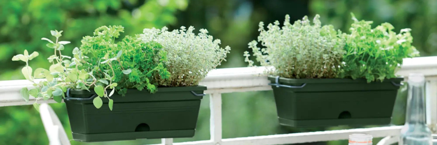 Elho Troughs & Window Boxes