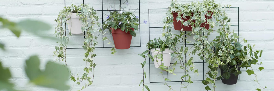 Elho Wall & Railing Planters
