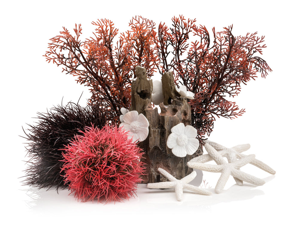 Shop Aquarium Ornaments Online