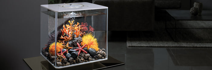 Aquariums & Cabinets
