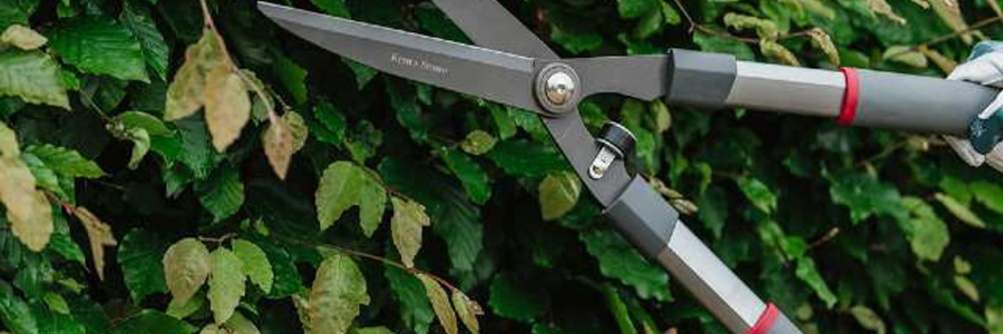 Gloves & Secateurs