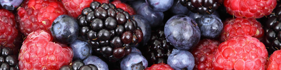 Fruit