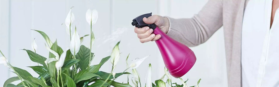Watering Cans and Sprayers For Houseplants