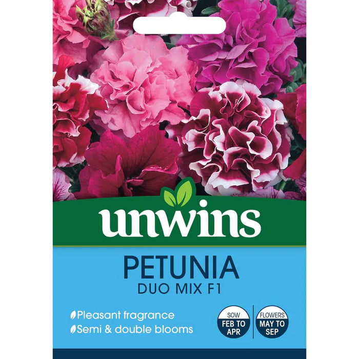 Petunia Double Pirouette (Orchid Mist)