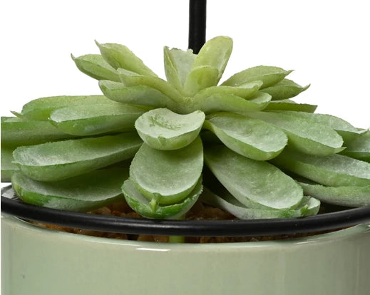 Faux Succulent In Pot (17.5x9.5cm)