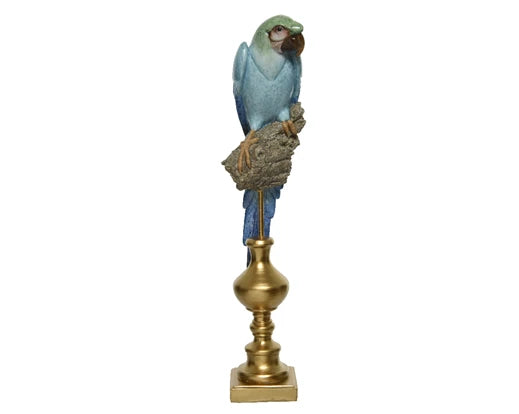 Blue Parrot On A Golden Platform