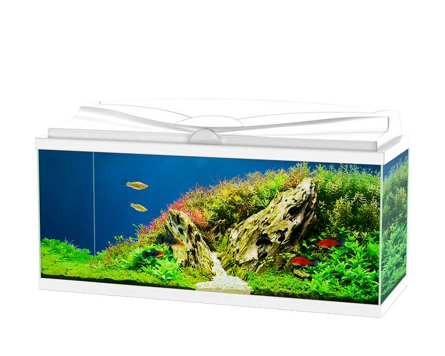 Ciano Aquarium Aqua 60 With Lights & White Lid (60cm x 30cm x 33.5cm With CFBIO 58 Litre 80 Filter)