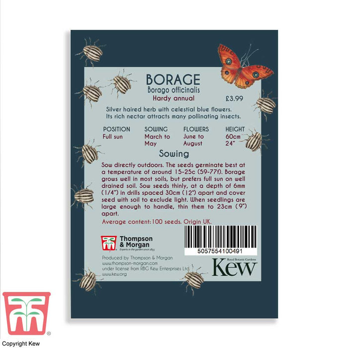 Borage - Kew Pollination Seed