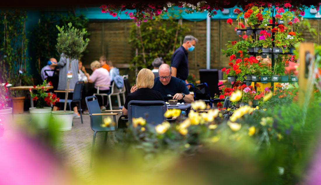 The outdoor café seating area at Newlands Garden Centre