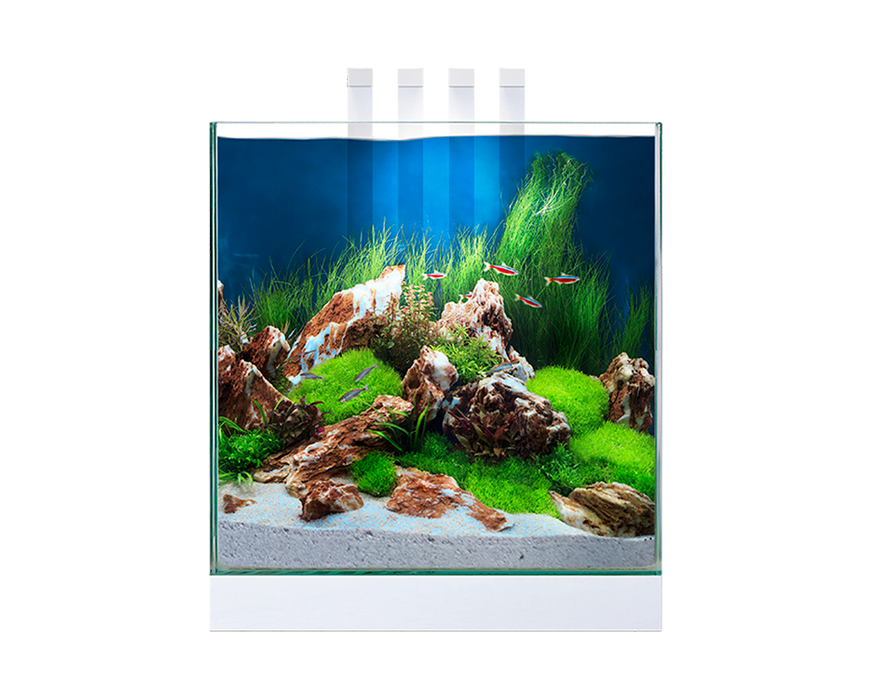 Ciano Nexus Pure 25 Aquarium With LED Lights 22 Litre