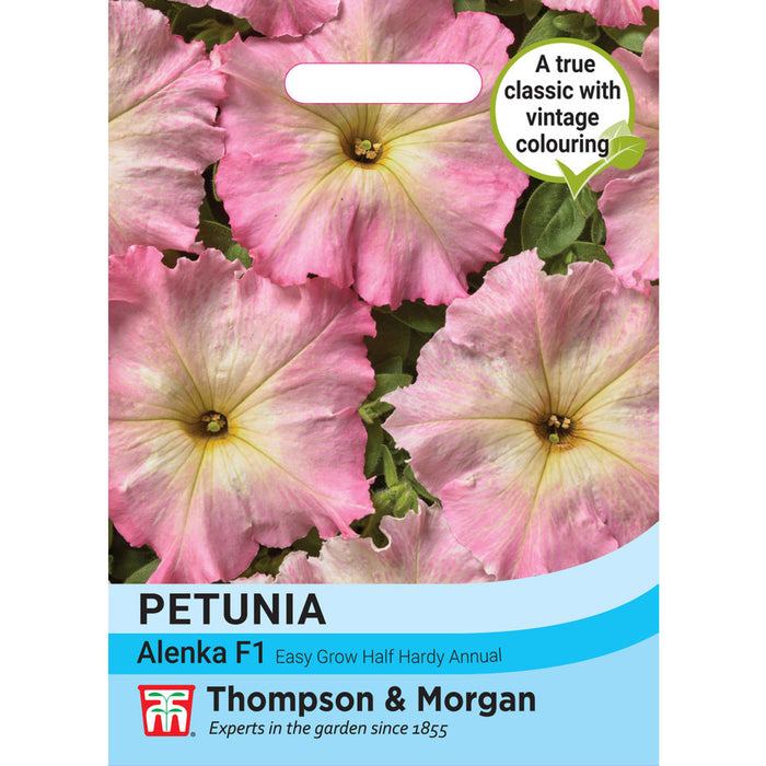 Petunia Hybrida 'Alenka' F1