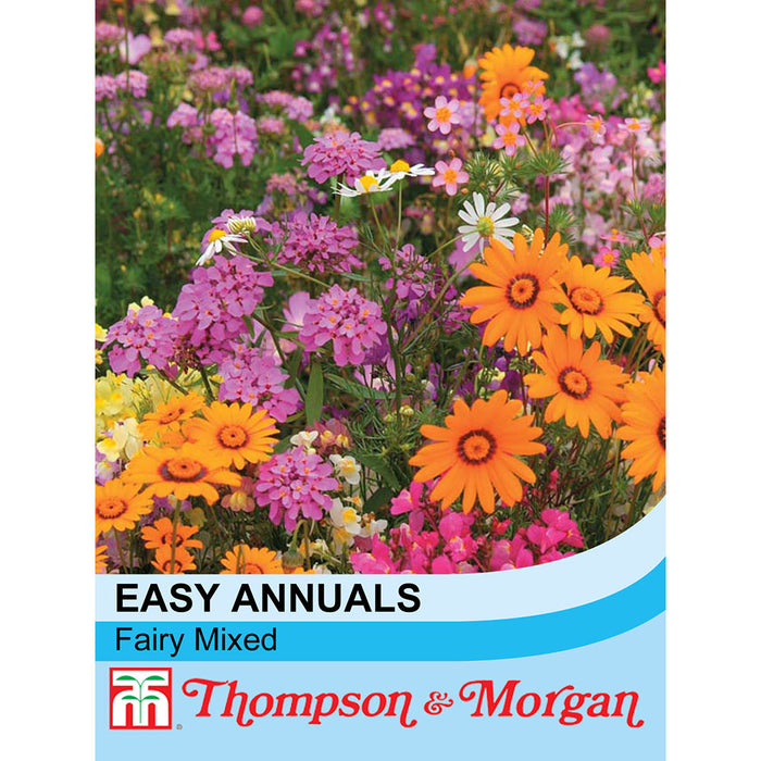 Easy Annuals 'Fairy Mixed'