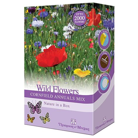 Wild Flower Cornfield Mixture