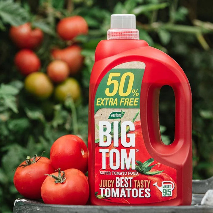 Westland Big Tom Tomato Food 1L + 25% Extra Free 1.25L EQP