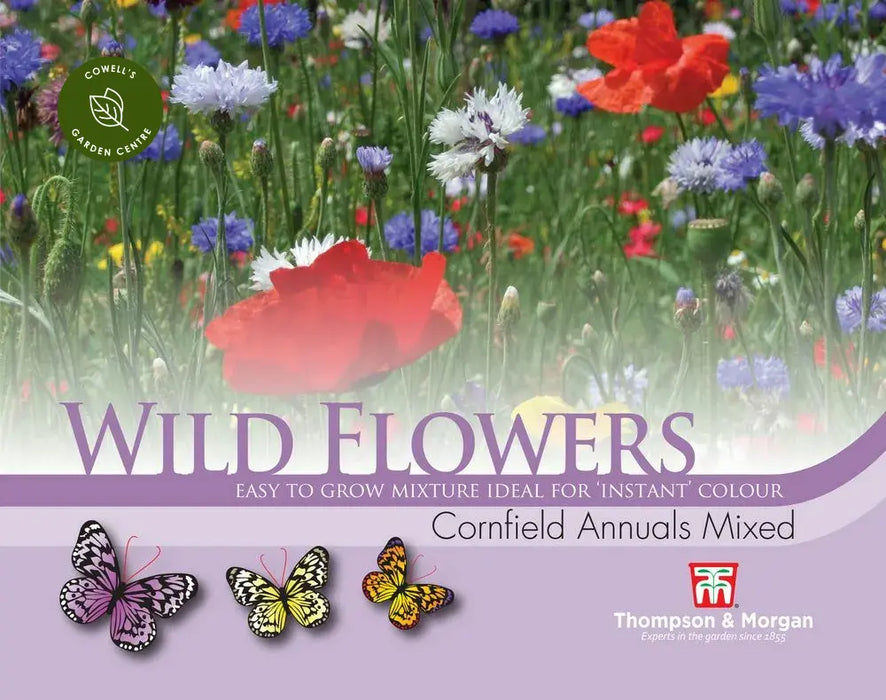Wild Flower Cornfield Annuals Mixed