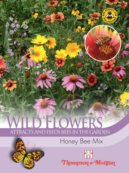 Wild Flower Honey Bee Mix