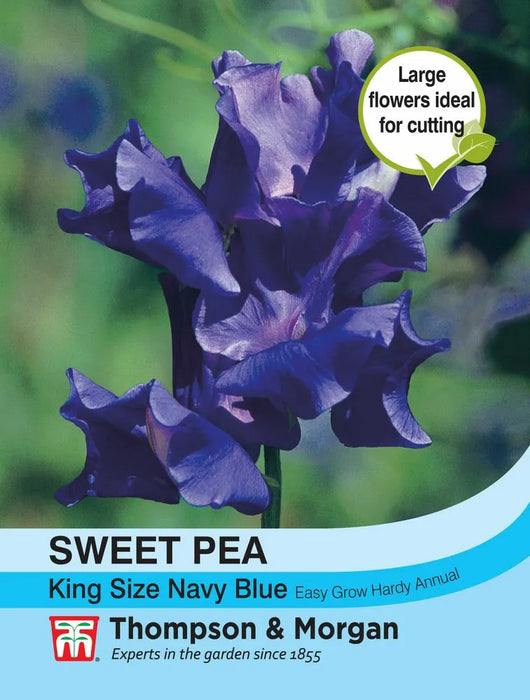 Sweet Pea Lathyrus King Size Royal Navy Dark Blue