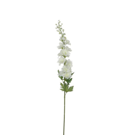 Delphinium White Flowers
