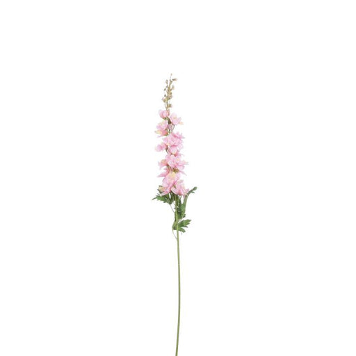 Delphinium Pink Flower 78cm
