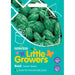 Little Growers-Basil Sweet