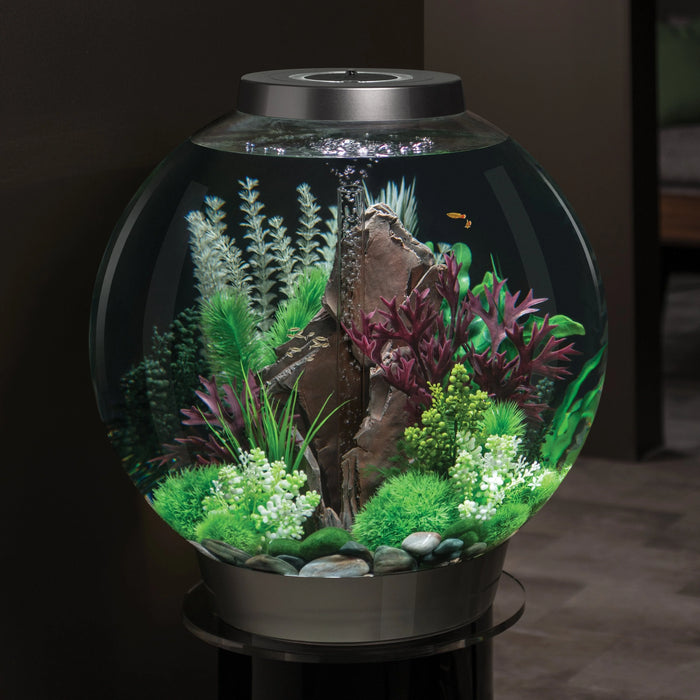 biOrb Aquatic Topiary Ball With Daisies