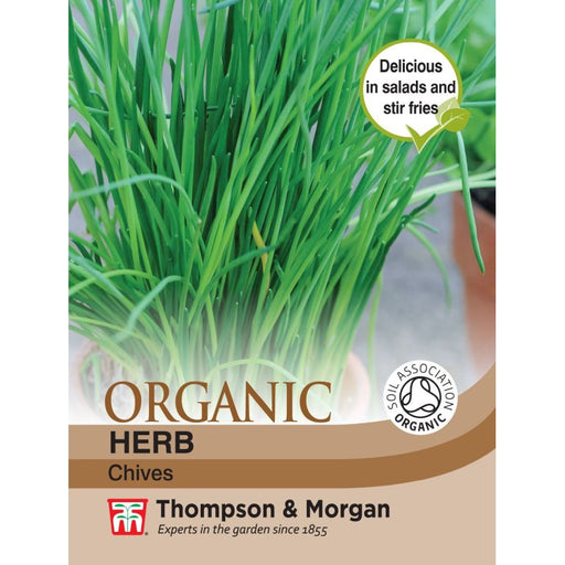 Herb Chives Organic