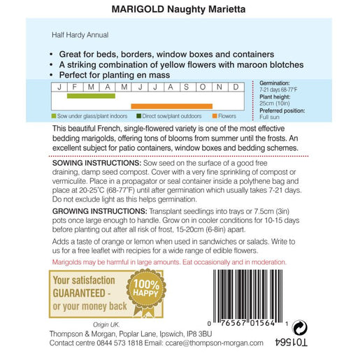 Marigold Naughty Marietta French