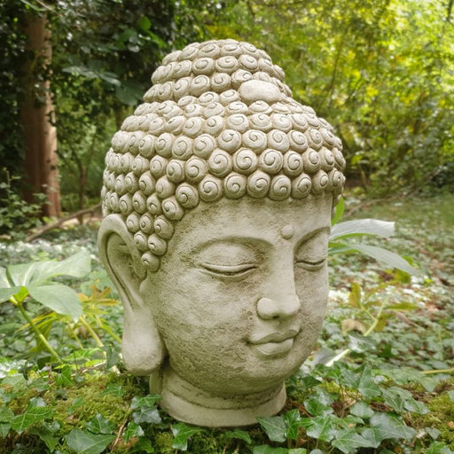 Buddha Head Medium 40cm