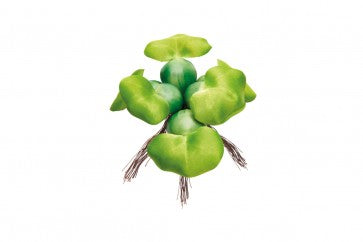 Pontec Pondo Hyacinth 14 cm
