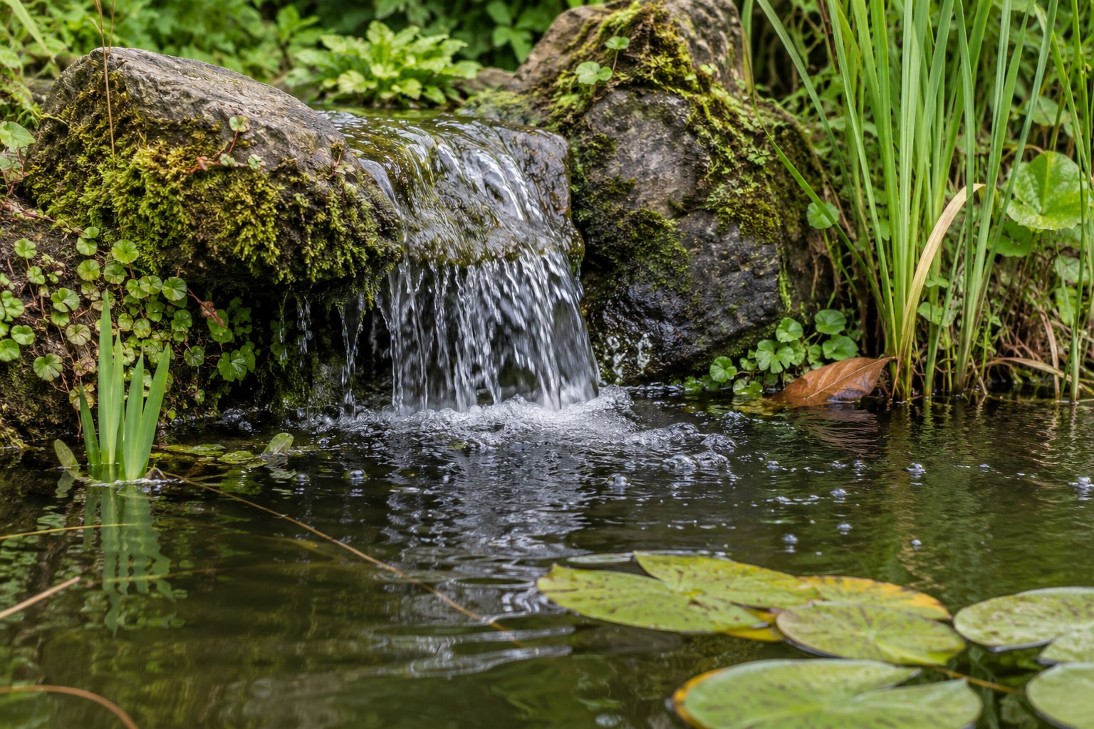 Buy Pond Supplies Online Ireland | Certified Oase Dealer