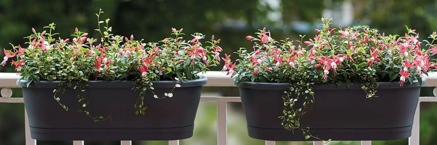 Elho Balcony Planters