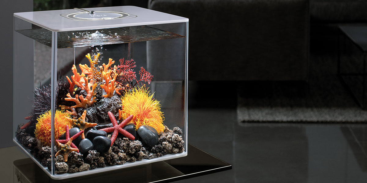 Buy Aquariums Online - FOT WWBI 54501 BiOrb CUBE 30MCR Weiss 002 1200x600 Crop Center Buy Aquariums Online - FOT WWBI 54501 BiOrb CUBE 30MCR Weiss 002 1200x600 Crop Center