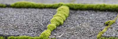 Weed & Moss Control For Paths & Drives