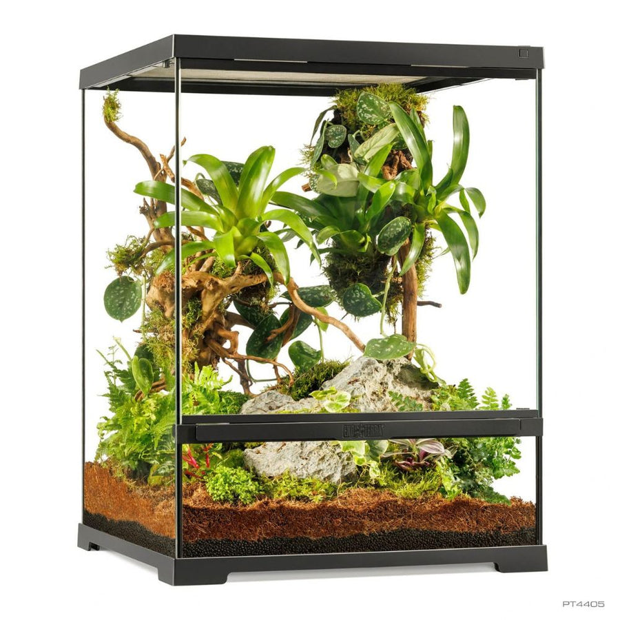 Glass & Display Terrariums