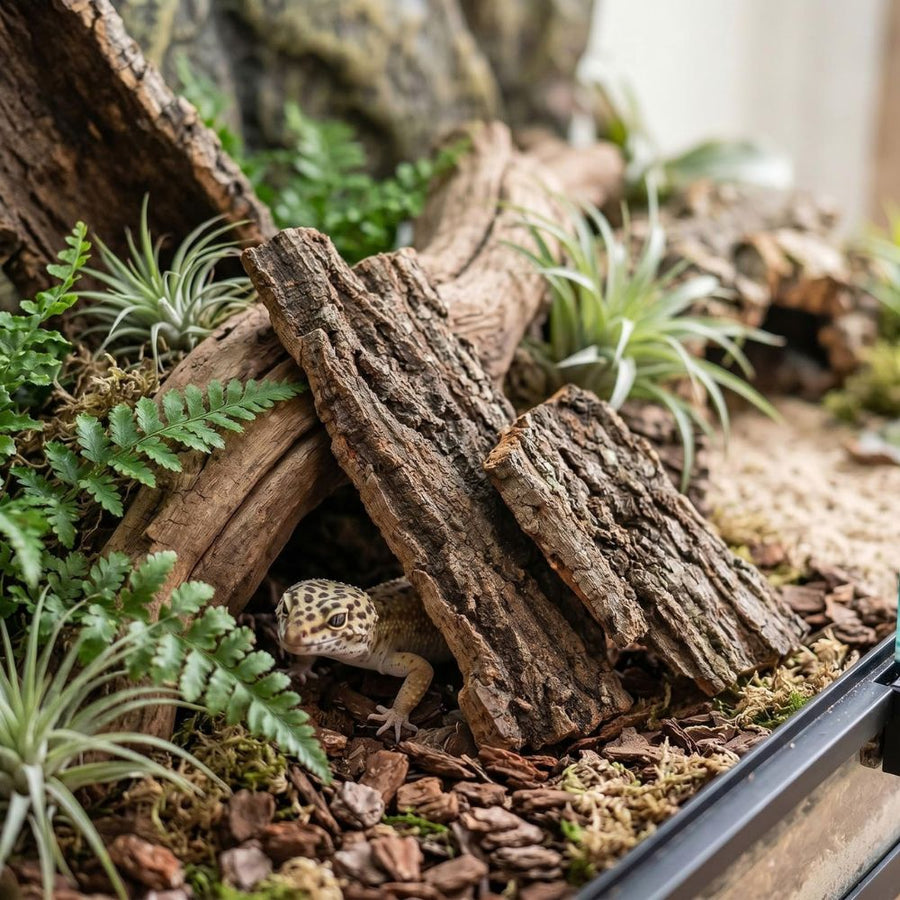 Habitat & Décor