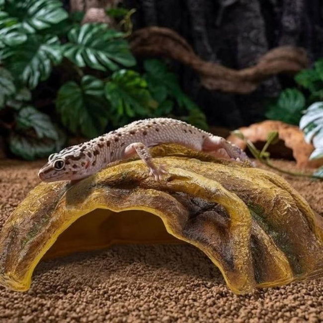 Reptile Hides & Shelters
