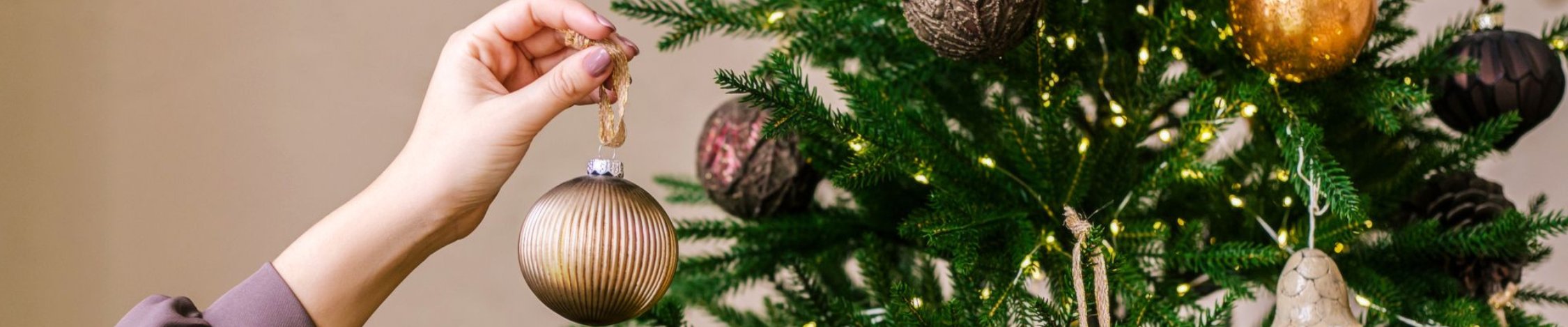 Newlands garden centre christmas shop