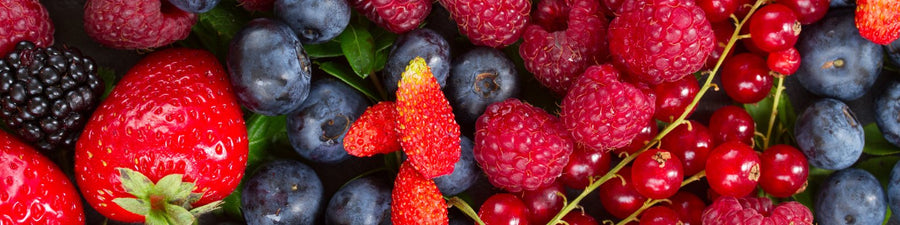Berries