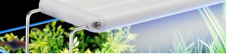 Aquarium Lighting