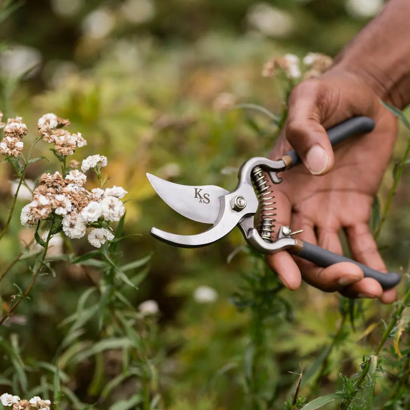 Ks Eversharp Bypass Secateurs