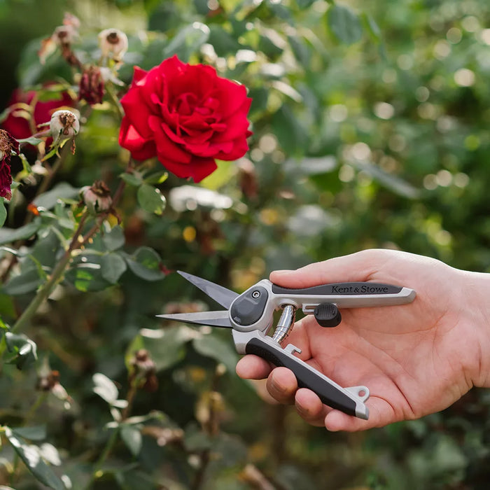 Kent & Stowe Eversharp Garden Snips