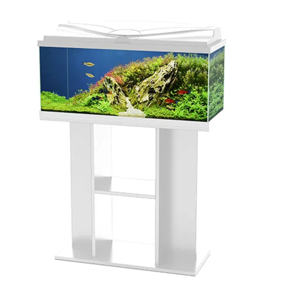 Ciano Aqua 80 Stand White