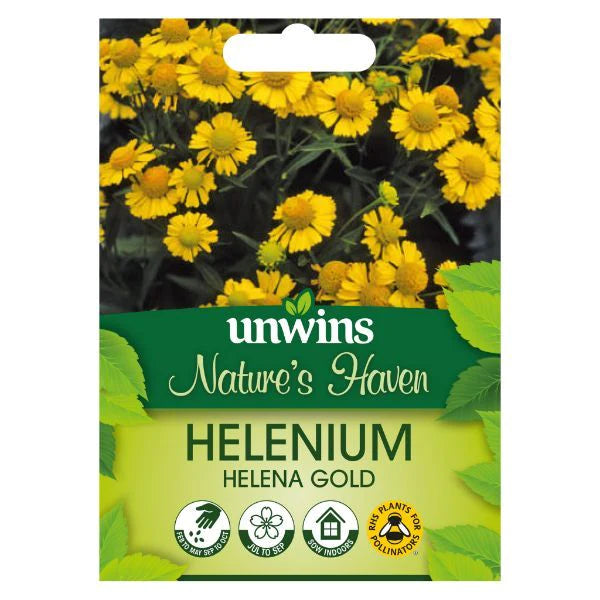 Natures Haven Helenium Helena Gold