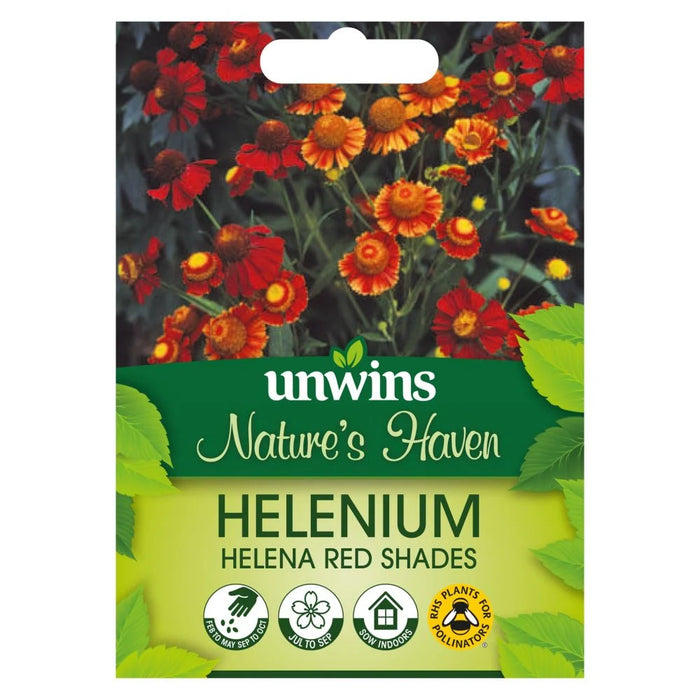 Natures Haven Helenium Helena Red Shades