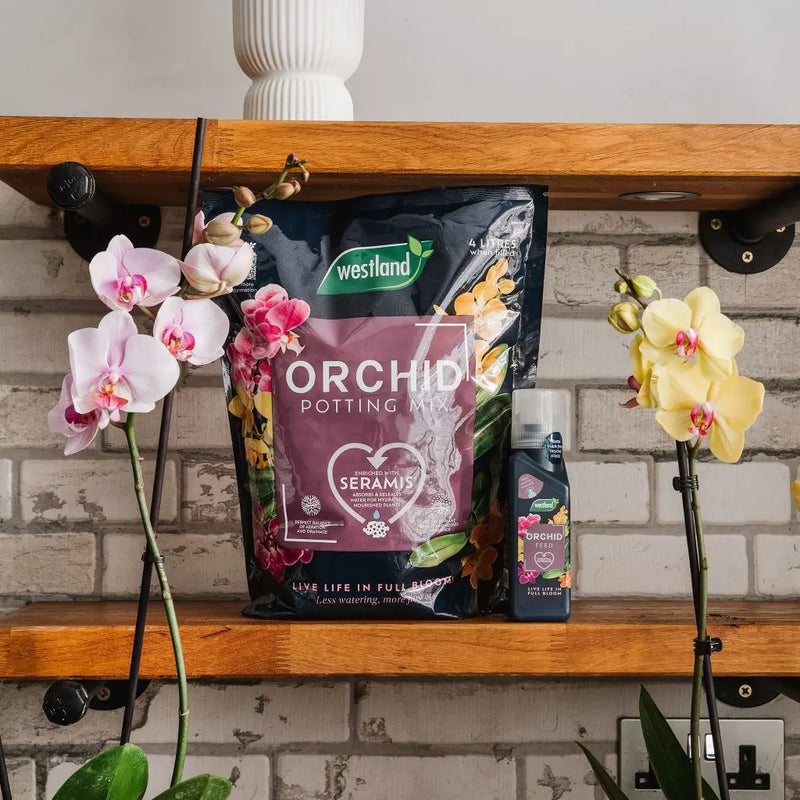 Westland Orchid Potting Mix 4 Litre