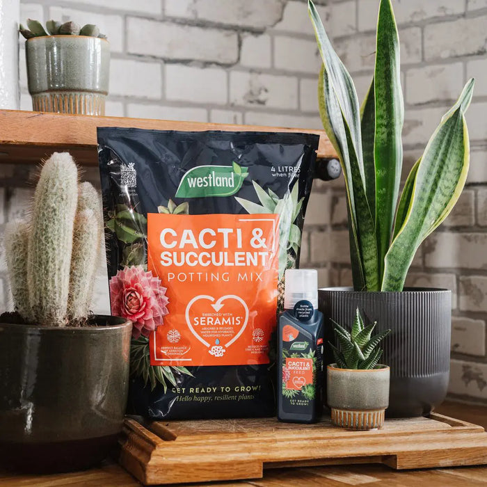 Westland Cacti & Succulent Potting Mix 4 Litre