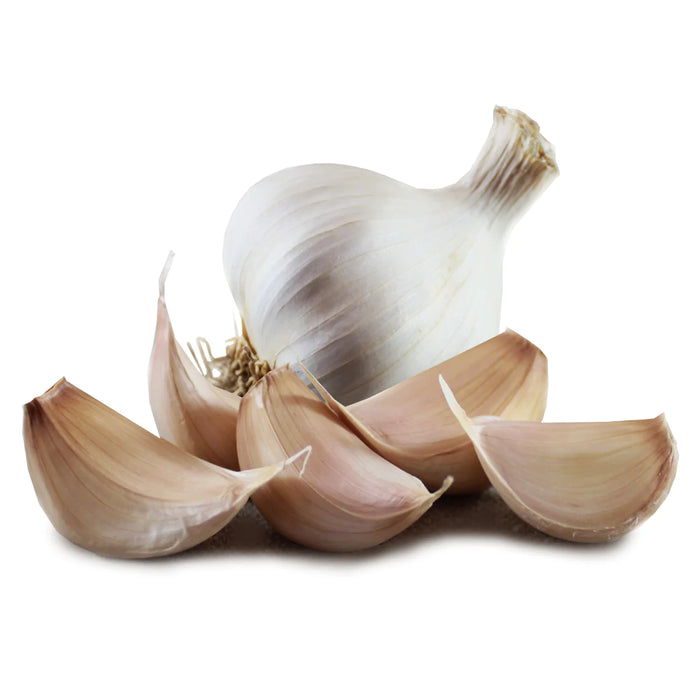 Garlic Solent Wight