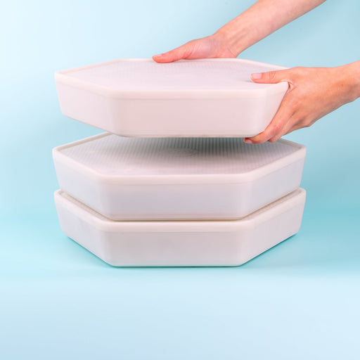 The Bug Factory Mealworm Growing Pods, stacked trays